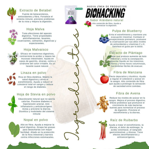 BIOHACKING DETOX PARA 1 SEMANA